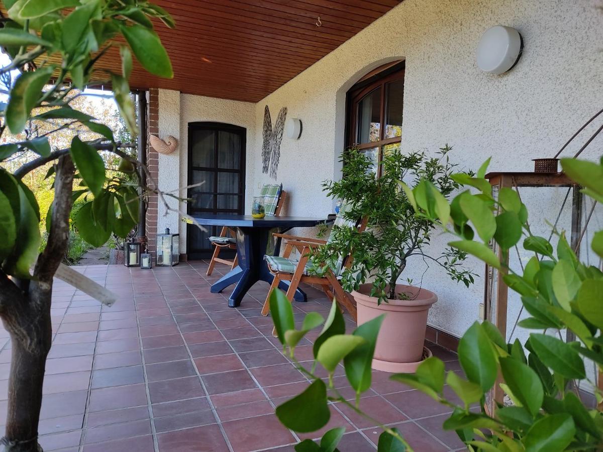 Ferienwohnung Bastian Thalmassing  Exteriér fotografie